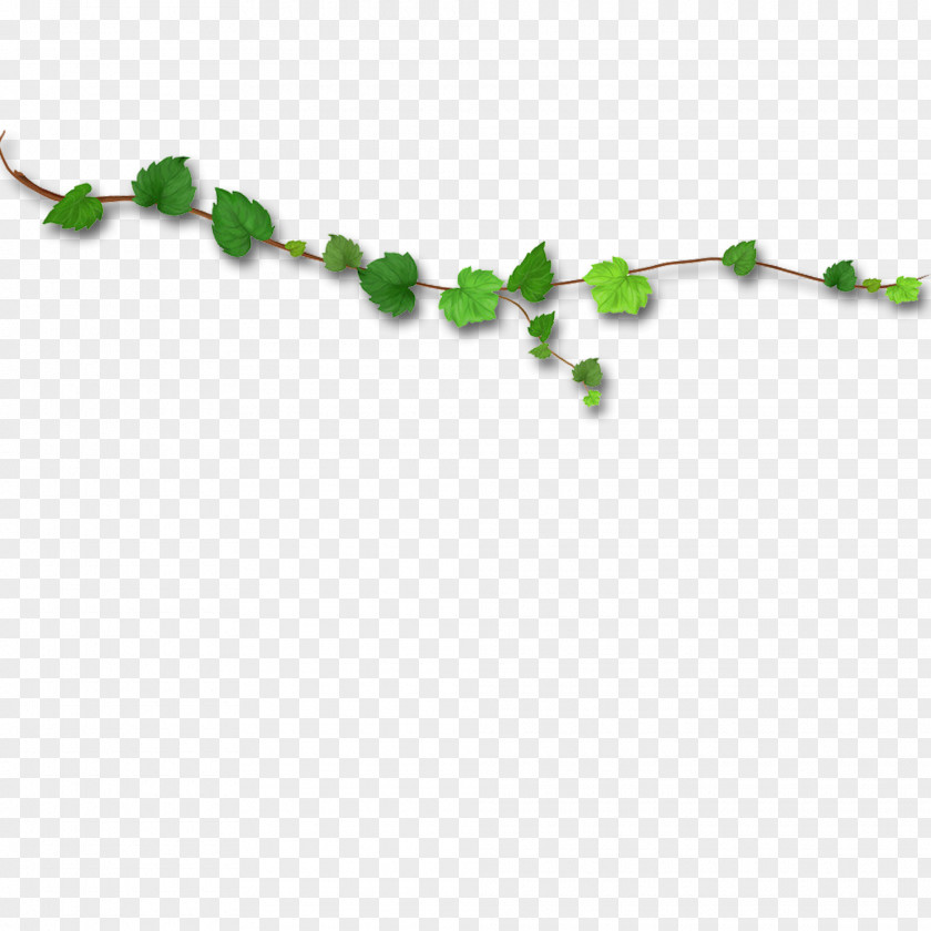 Green Leaves Vine Designer PNG