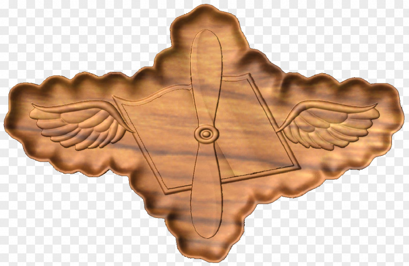 Navy Aviation Wings /m/083vt Wood PNG