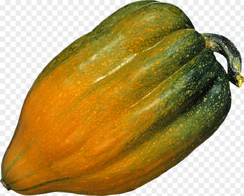 Pumpkin Image Zucchini Cucurbita Maxima Winter Squash Butternut Acorn PNG