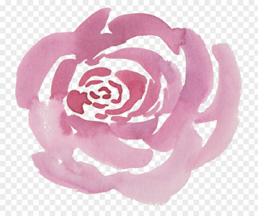 Watercolor Rose Flower Centifolia Roses Painting Pink Clip Art PNG