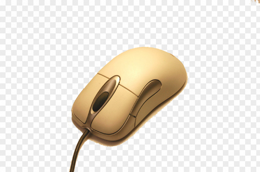 A Mouse Orange Computer PNG