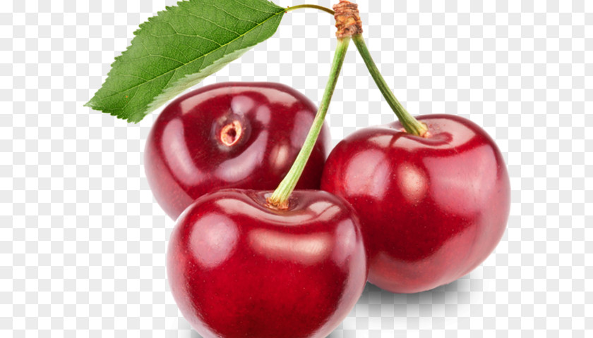 Cherry Sour Fruit Tart Drupe PNG
