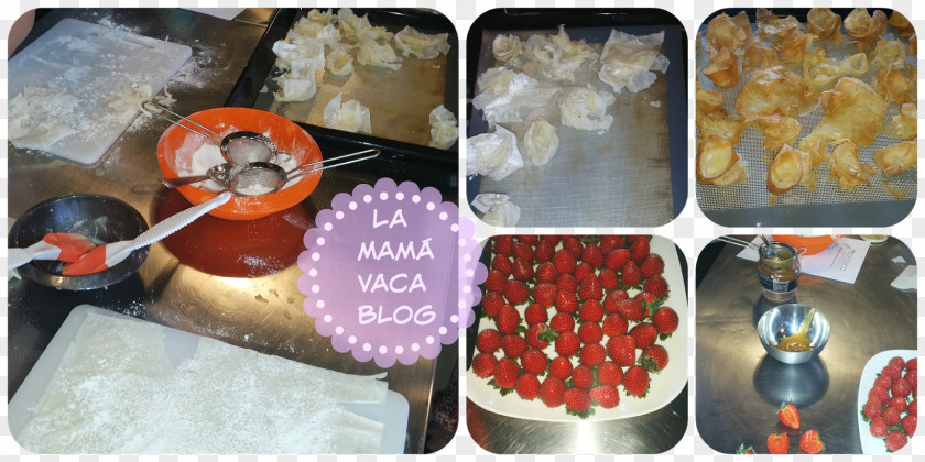 Cooking Mama Bulgaria Plastic Food Blog Information PNG