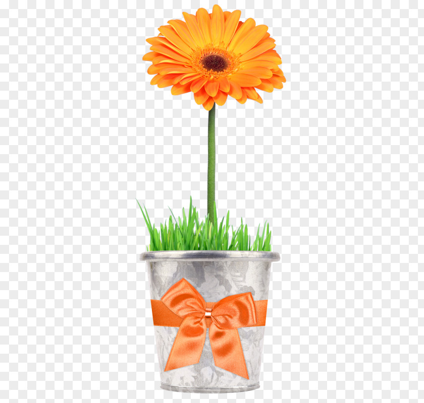 Cut Flowers Grass Background PNG