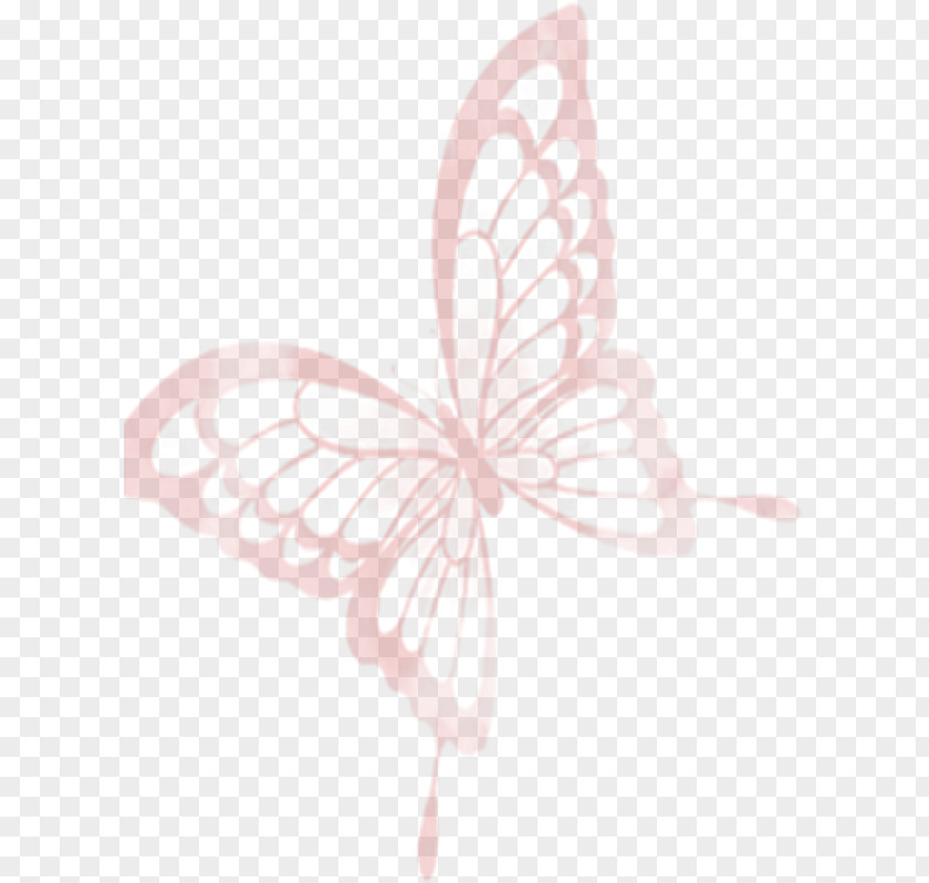 Hand-painted Pink Butterfly Download PNG