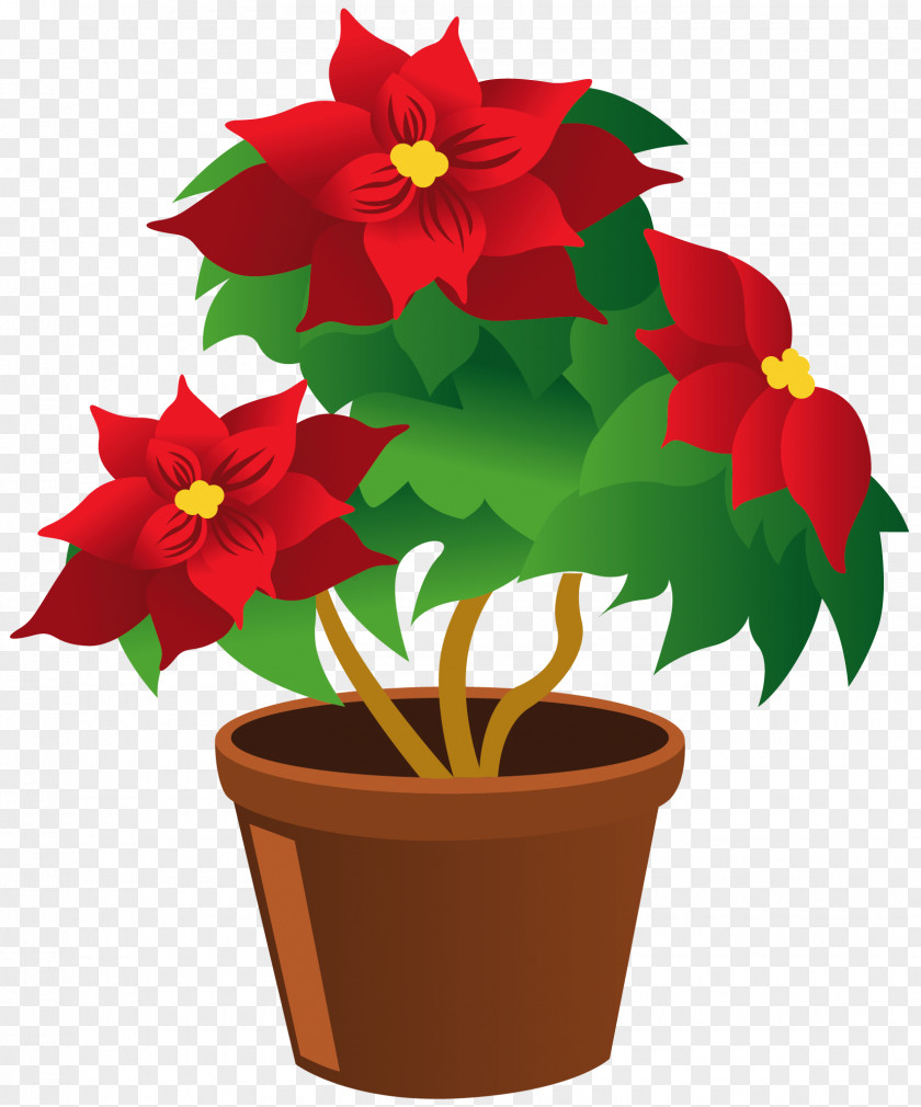 Poinsettia Pot Clipart Plant Thumbnail Clip Art PNG