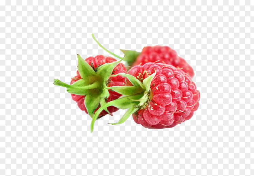 Raspberry Picture Material Red Fruit Extract Jostaberry PNG