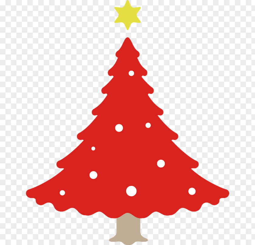 Conifer Pine Christmas Tree PNG