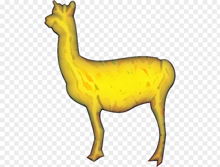 Deer Camel Mammal Yellow Fauna PNG