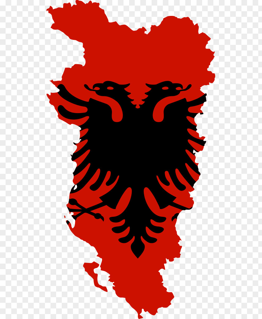 Flag Of Albania Albanian Republic Double-headed Eagle PNG