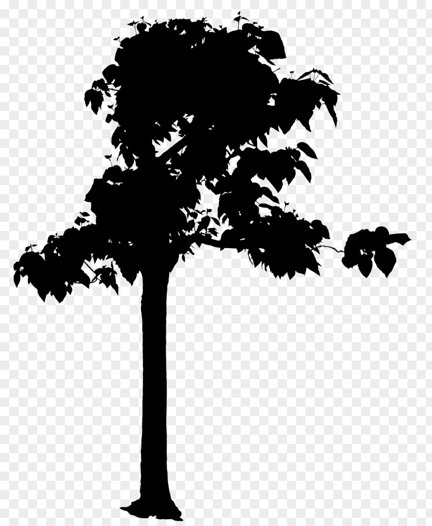 Foreground Tree Photography Drawing PNG