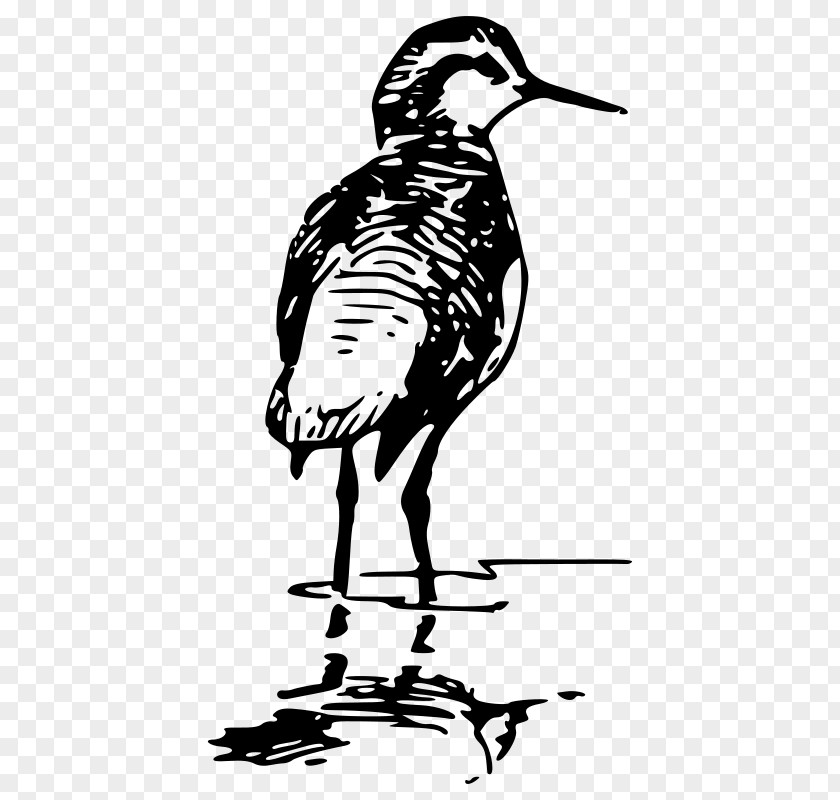 Heron Crane Bird Line Drawing PNG