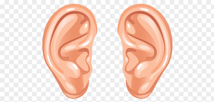 Rabbit Ears Hearing Clip Art PNG