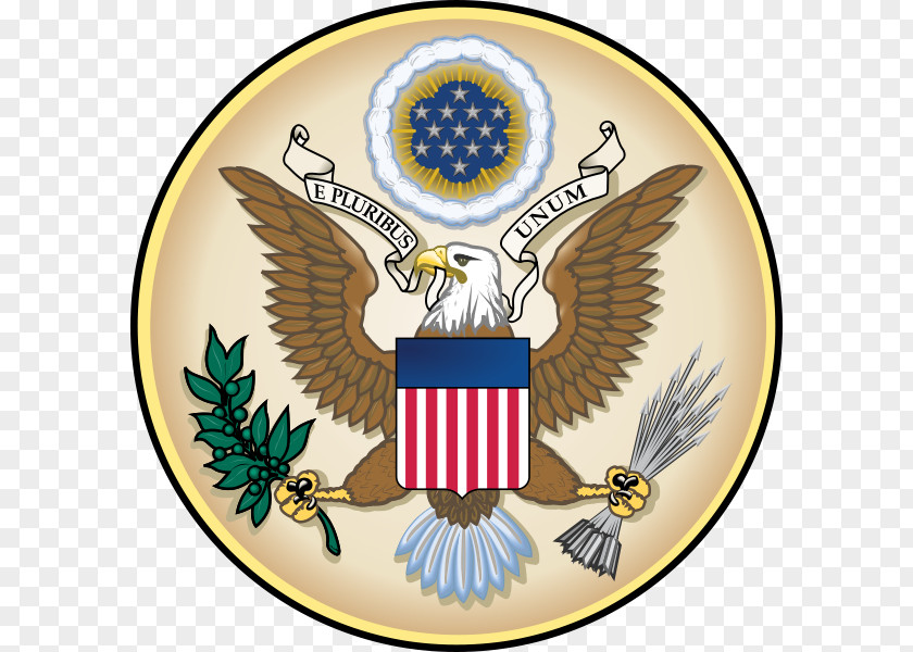 United States Bald Eagle Symbol Bird PNG