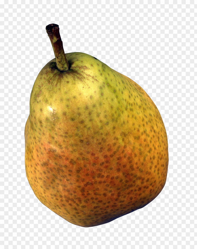 Apple Food Fruit Williams Pear Bosc PNG