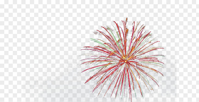 Festival Fireworks Firecracker Chinese New Year PNG