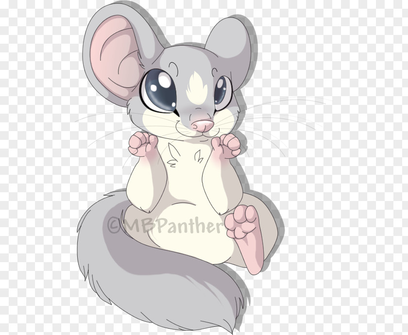 Mouse Whiskers The Dormouse Rat PNG