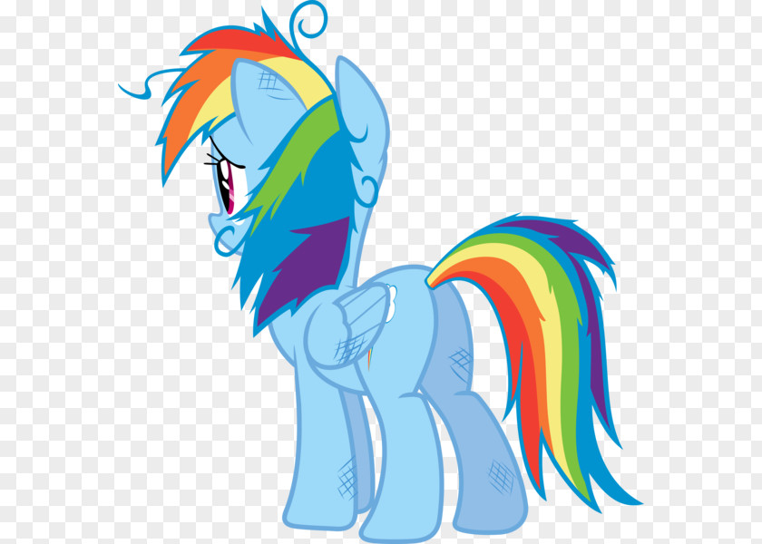 My Little Pony Rainbow Dash Applejack Fluttershy Rarity PNG