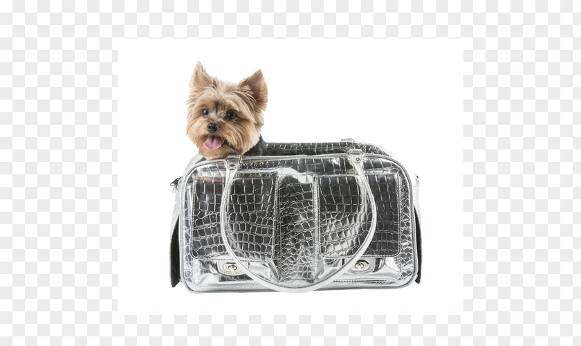 Pet Carrier Yorkshire Terrier Cairn Australian Silky Puppy PNG