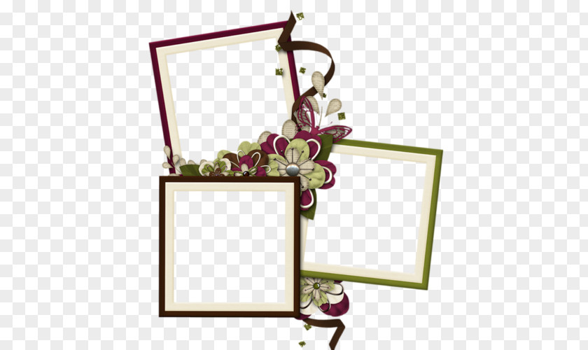 Picture Frames Painting Floral Design PNG