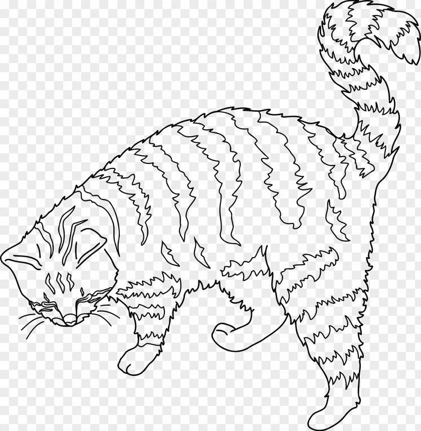 Retina Clipart Tabby Cat Kitten Whiskers Domestic Short-haired Wildcat PNG