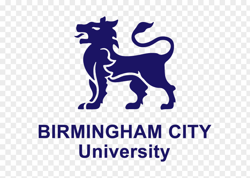 Student Birmingham City University Conservatoire School Of Media PNG