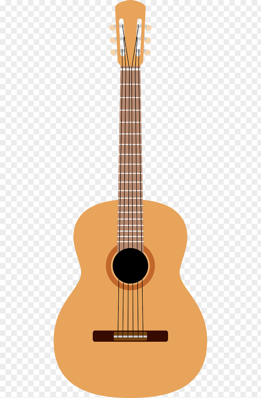 Bass Guitar Acoustic Classical Musical Instruments PNG