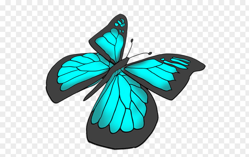 Blue Butterfly Swallowtail Ulysses Drawing Clip Art PNG