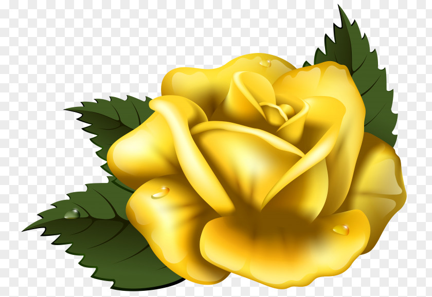 Clipart Rose Yellow Clip Art PNG