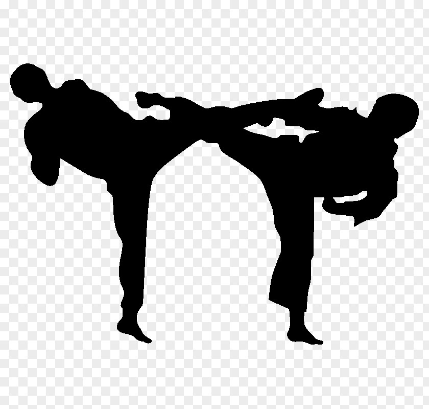Karate Martial Arts Sport Tang Soo Do Budō PNG