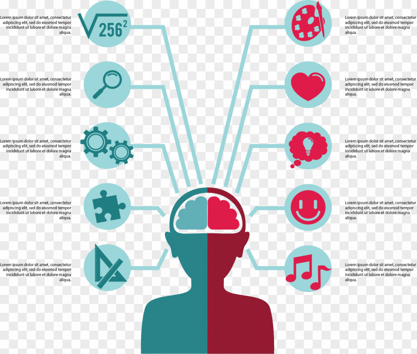 Left And Right Brain Controls The Partition Infographic Euclidean Vector Icon PNG