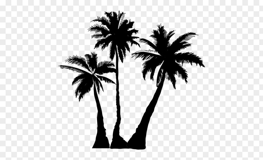 Palmier Palm Trees Clip Art Silhouette Vector Graphics PNG