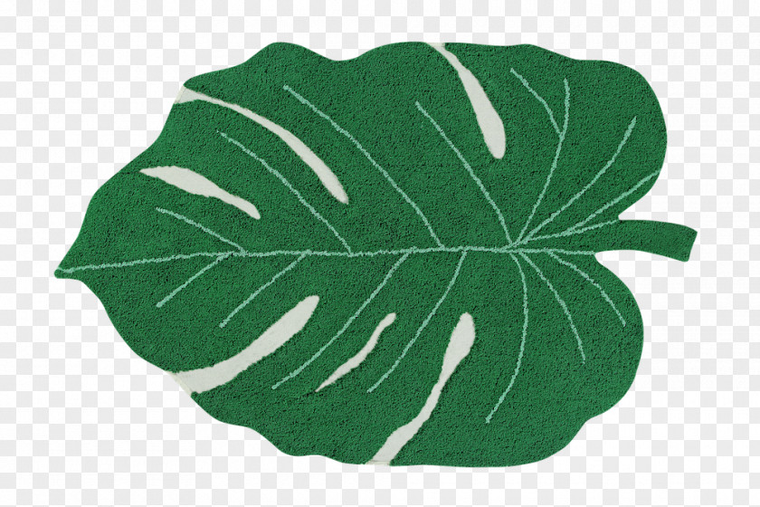 Anthurium Vegetable Green Leaf Background PNG