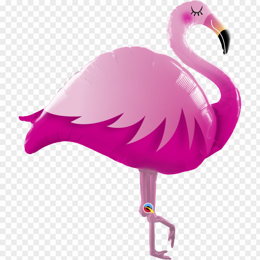 Balloon Party Birthday Gift Flamingo PNG