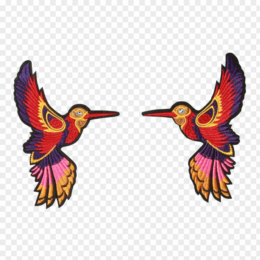 Bird Color Feather Beak Wing PNG