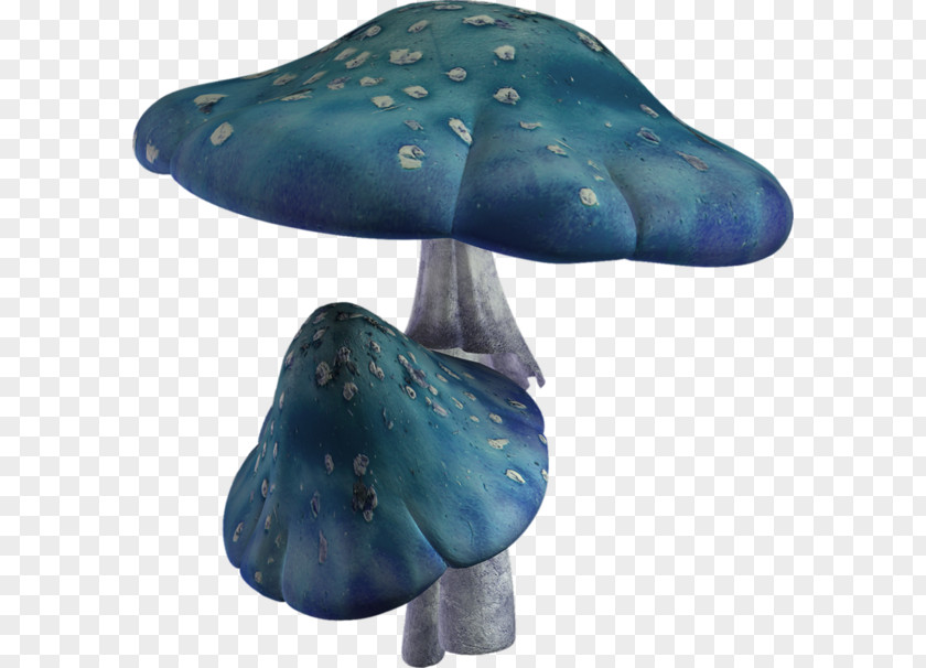 Blue Mushroom Hot Pot Shiitake PNG