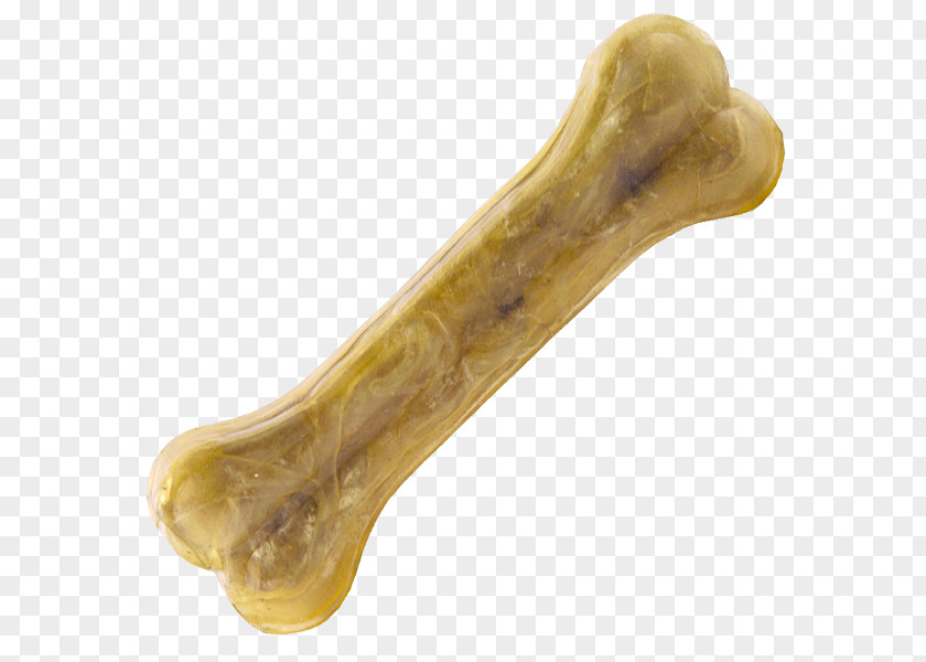 Bone Remodeling Human Tooth PNG