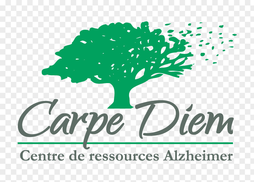 Centre De Ressources Alzheimer Maison Carpe Diem German European School SingaporeCarpe PNG