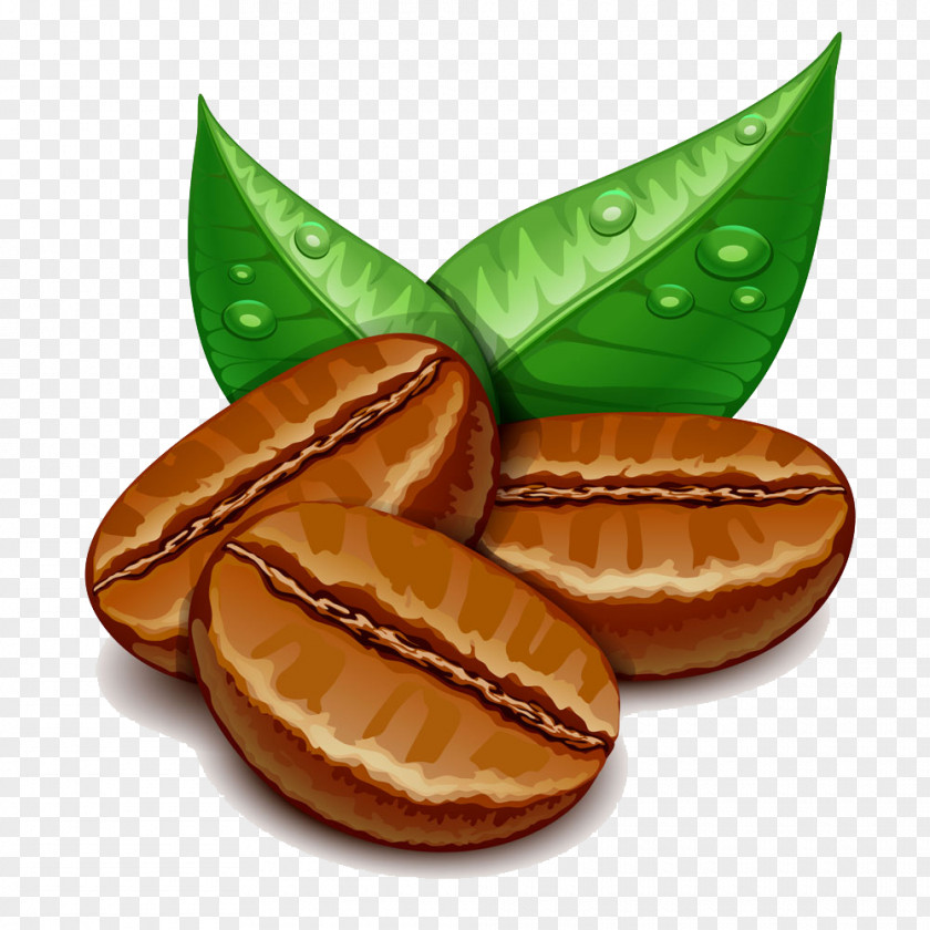 Coffee Beans And Green Leaves With Drops Of Water Single-serve Container Cappuccino Cream Crumble PNG