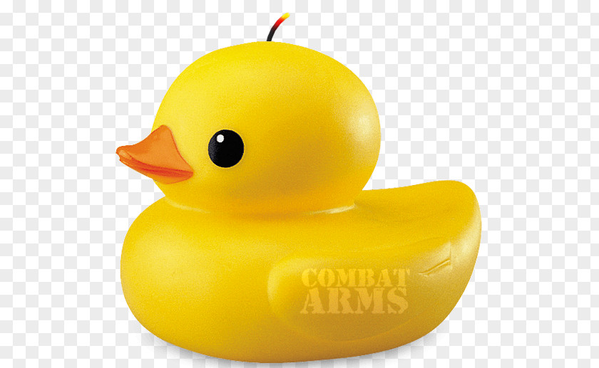Duck Clip Art Image Transparency PNG