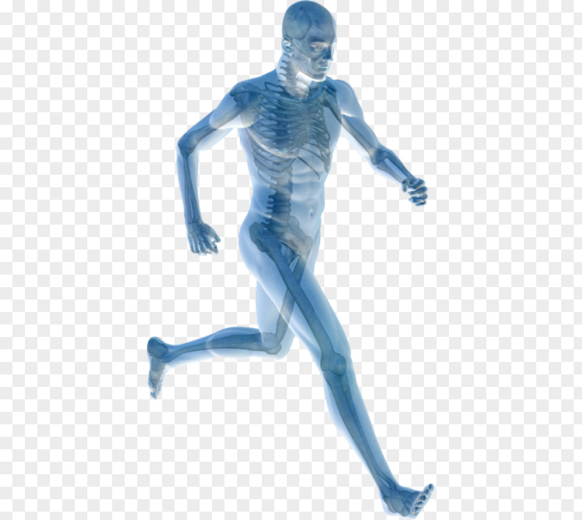 Health Human Body Joint Pain Management Physical Therapy PNG