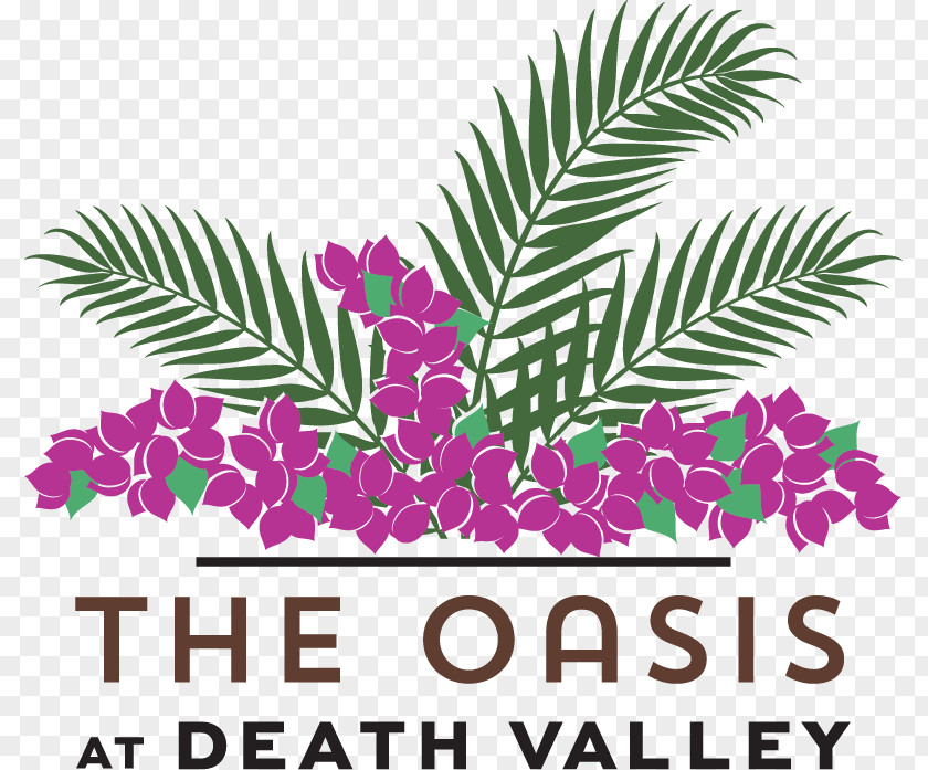 Hotel The Oasis At Death Valley Furnace Creek Inn Resort PNG