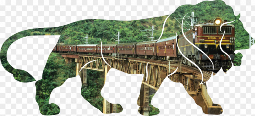 India Indian Railways Rail Transport Train Minister Of PNG