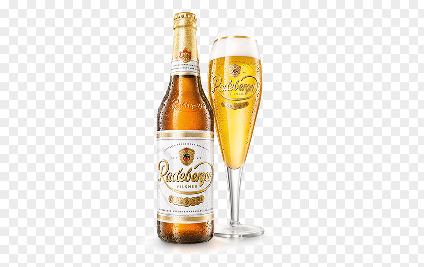 Stew Radeberger Brewery Pilsner Wheat Beer Veltins Pilsener PNG