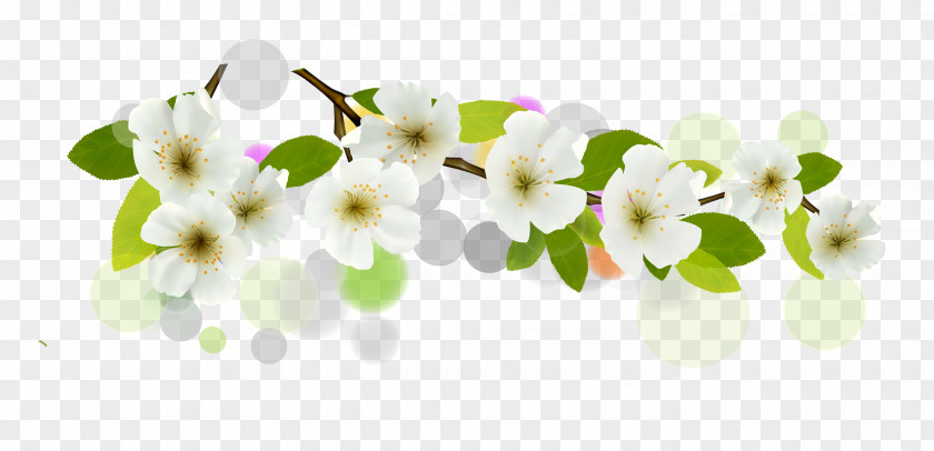 Vector Flowers Flower Euclidean White Banner PNG