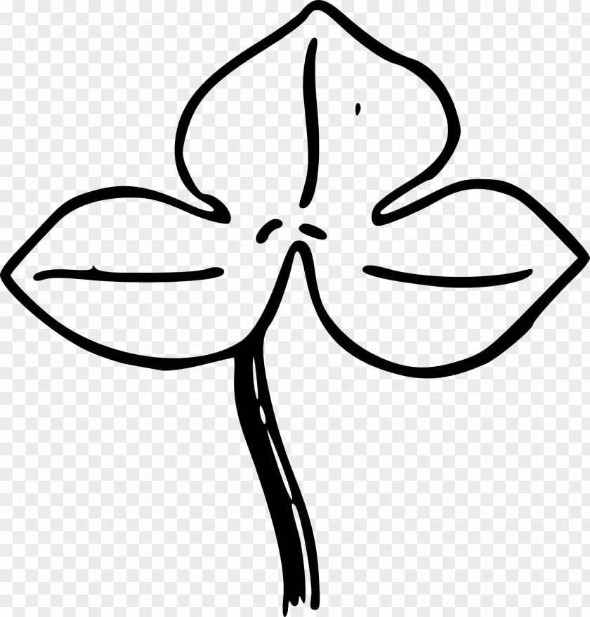 Drawn Leaf Drawing Clip Art PNG