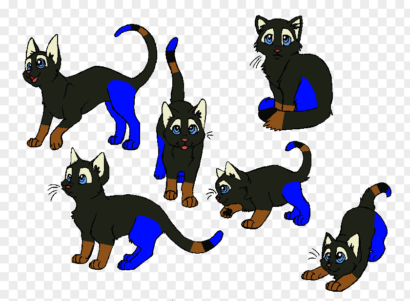 Kitten Whiskers Black Cat Warriors PNG