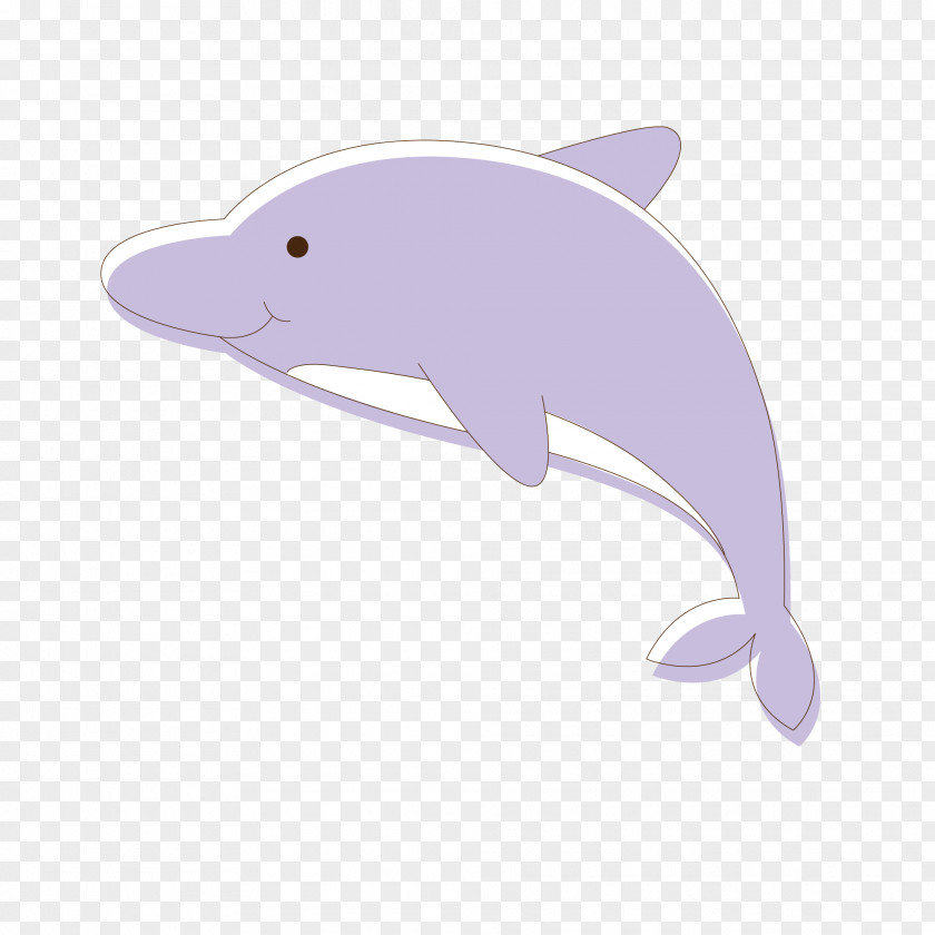 Purple Dolphin Vector Material Tucuxi Common Bottlenose Spinner PNG