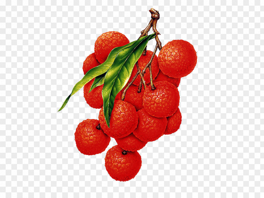 90 Lychee Fruit Desktop Wallpaper Vegetarian Cuisine Clip Art PNG