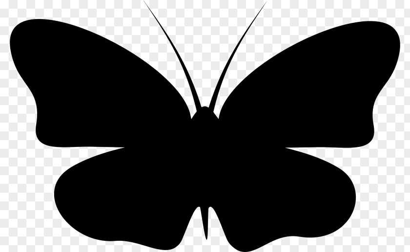 Butterfly Monarch Silhouette Clip Art PNG